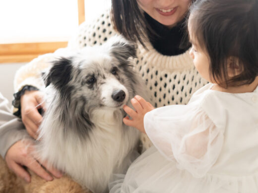 ペットフォト