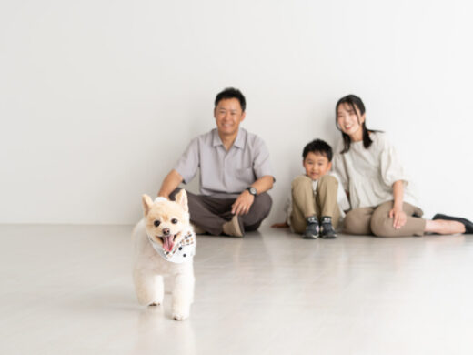 ペットフォト