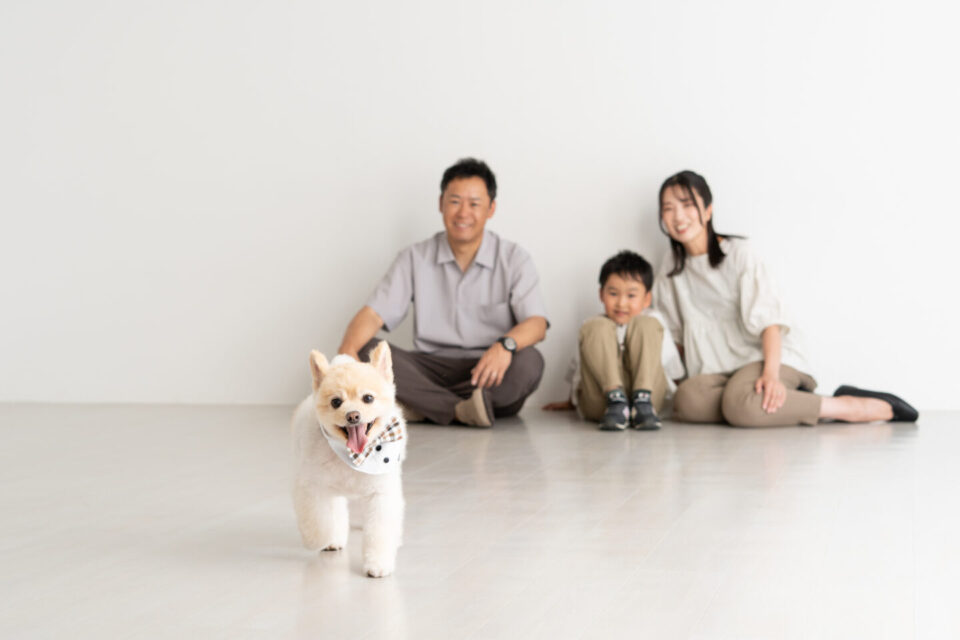 ペットフォト